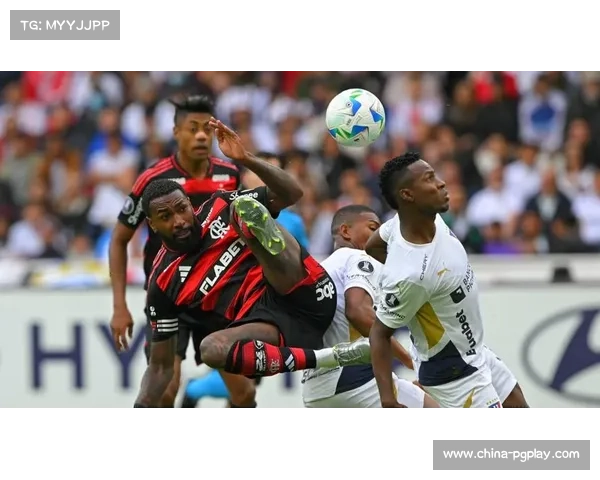 弗拉门戈本赛季解放者杯场均失球仅0.8个，防守稳固