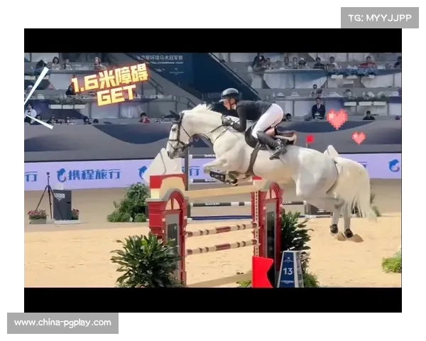 世界马术运动会：荷兰骑手障碍赛零罚分，创场馆最低用时纪录